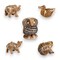 Set of 5 Wooden Animal Handmade Showpiece, Elephant, Duck, Owl, Frog & Camel